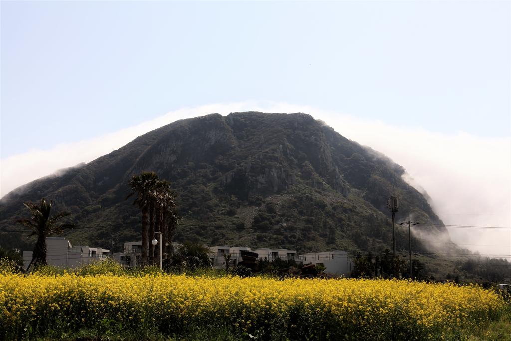 MJ Pension & Resort - thumb 6