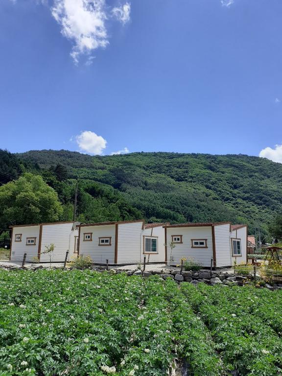 Mokkoji Pension - thumb 7