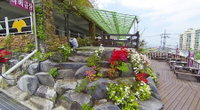 Oceanview Resotel Accommodation South Korea