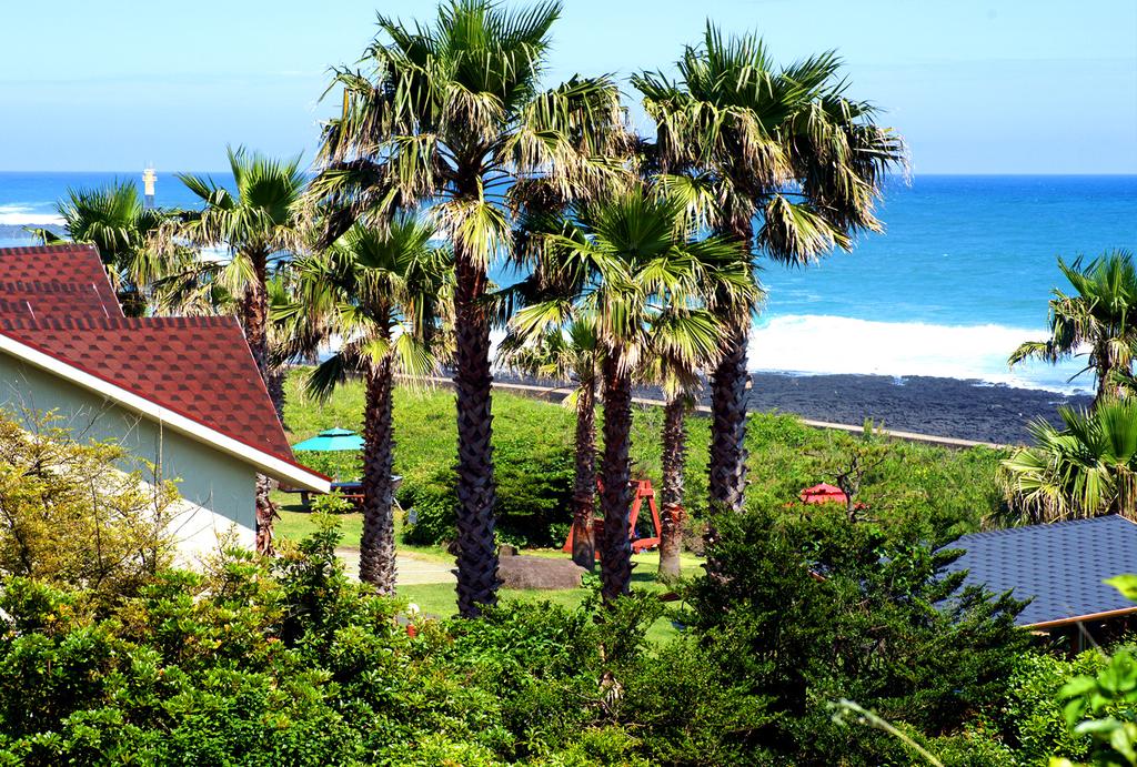 Old Man And Sea - thumb 6