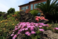 Ophir House Accommodation South Korea