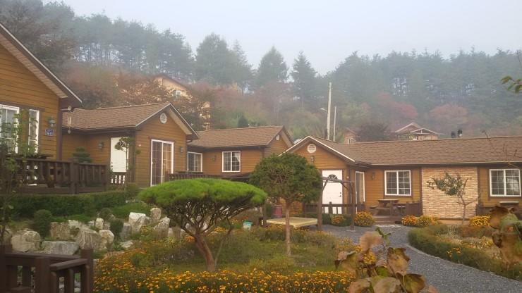 Oraview Pension - thumb 4