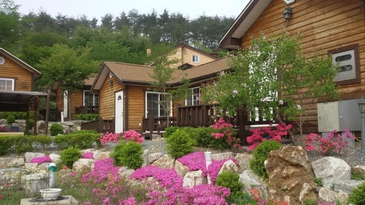 Oraview Pension - thumb 1