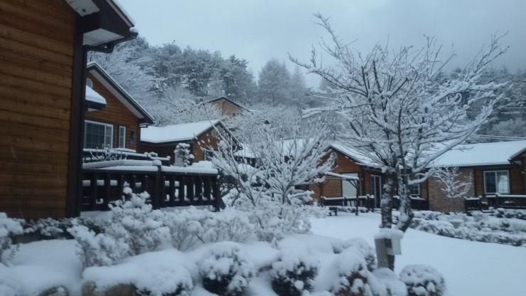 Oraview Pension - thumb 6