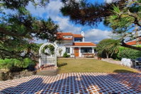 Palm Tree Villa Accommodation South Korea