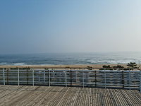 Pine Beach Accommodation South Korea