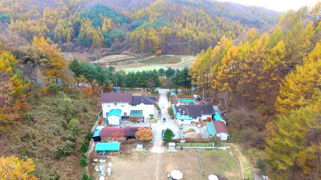 Pinearoma Pension - thumb 5