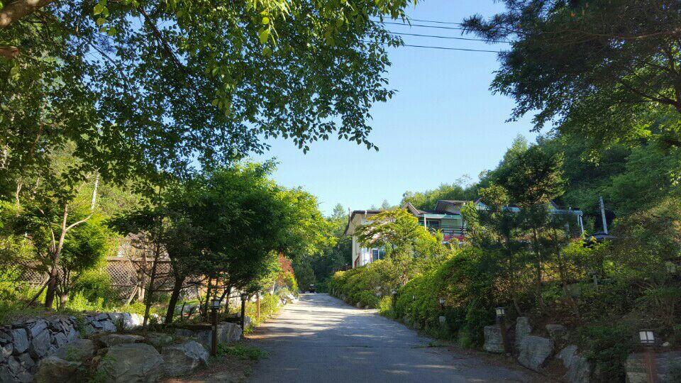 Pinearoma Pension - thumb 1