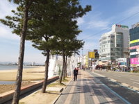 Pohang Valentine Hotel Accommodation South Korea