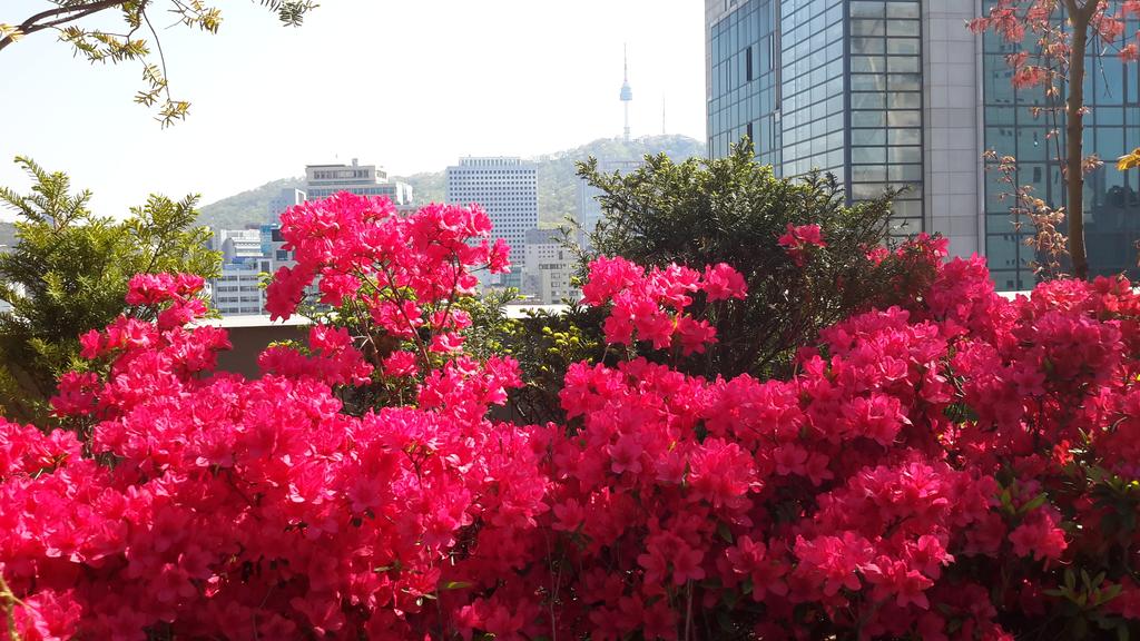 Rian Hotel - thumb 3