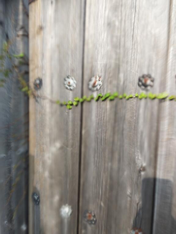 Sarangbang Guesthouse - thumb 0