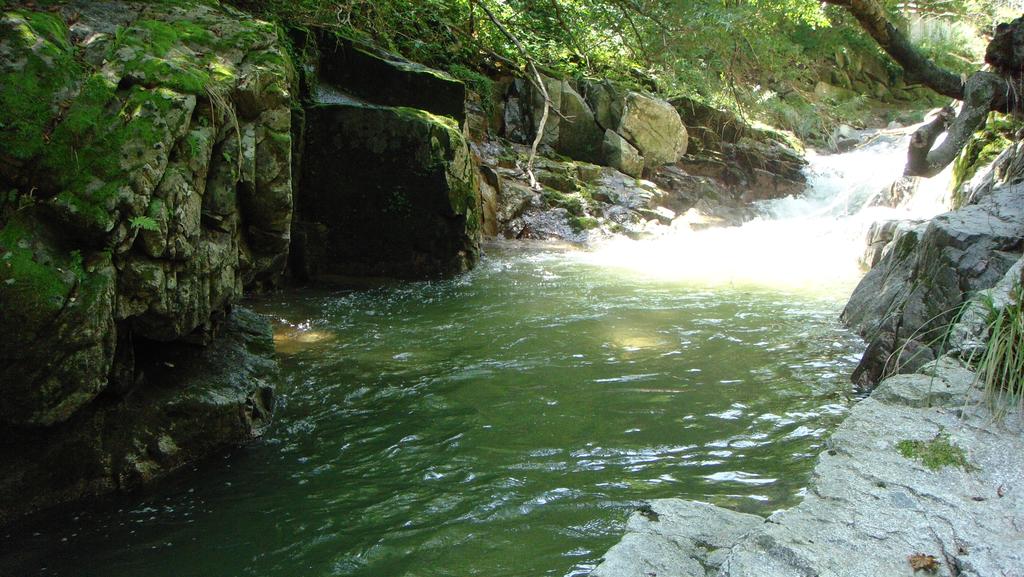 Shinevalley Pension & Hotel - thumb 2