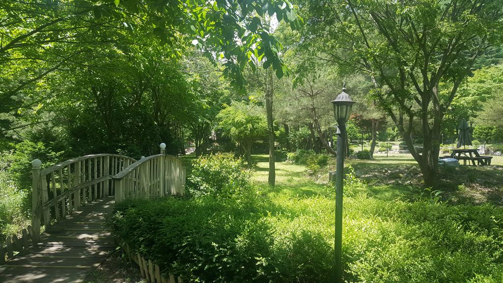 Shinevalley Pension & Hotel - thumb 6