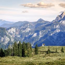 Salzburg Accommodation South Korea