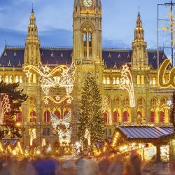 Vienna Christmas Market, Vienna Accommodation South Korea
