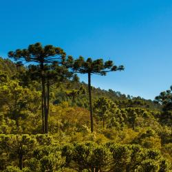 Parana Accommodation South Korea