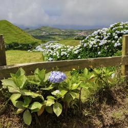 Serra Gaucha Accommodation South Korea