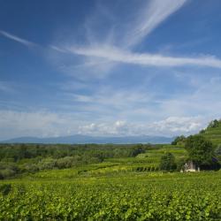 Baden-Württemberg Accommodation South Korea