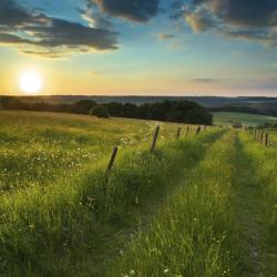 Eifel Accommodation South Korea