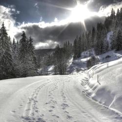 Feldberg Accommodation South Korea