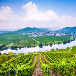 German Mosel Accommodation South Korea