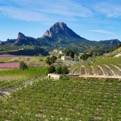 Murcia Accommodation South Korea