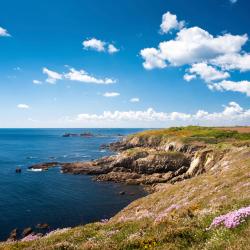 Brittany Accommodation South Korea