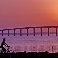 Island of Ré Accommodation South Korea