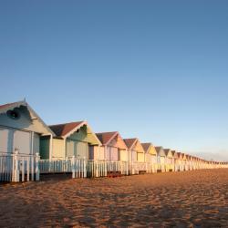 Essex Accommodation South Korea