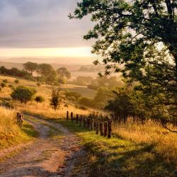 Hertfordshire Accommodation South Korea