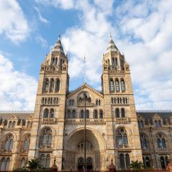 Natural History Museum, London Accommodation South Korea