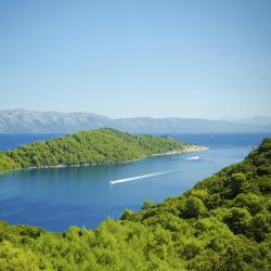 Mljet Island Accommodation South Korea
