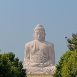 Bihar Accommodation South Korea