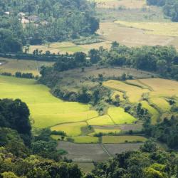 Coorg Accommodation South Korea