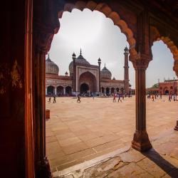 Delhi NCR Accommodation South Korea