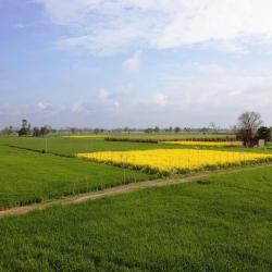 Punjab Accommodation South Korea