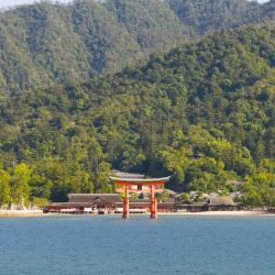 Aichi Accommodation South Korea