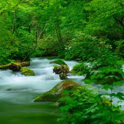 Aomori Accommodation South Korea