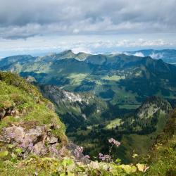 Coromandel Peninsula Accommodation South Korea