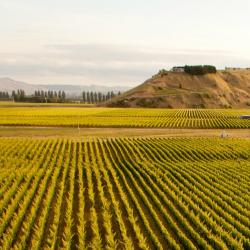 Hawke's Bay Accommodation South Korea