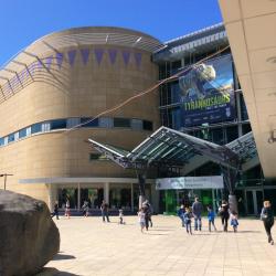 Te Papa Museum, Wellington Accommodation South Korea