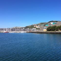 Wellington Accommodation South Korea