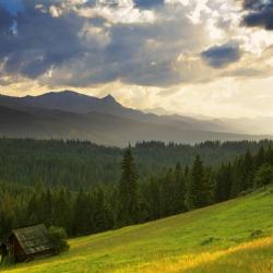 Gmina Bukowina Tatrzanska Accommodation South Korea