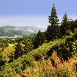 Lodz Accommodation South Korea