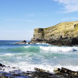 Costa Alentejana Accommodation South Korea