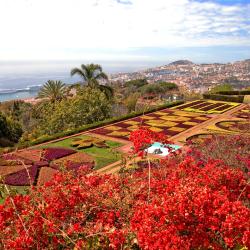 Funchal Accommodation South Korea