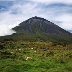 Pico island Accommodation South Korea