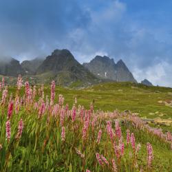 Santa Maria Accommodation South Korea
