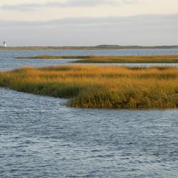 Cape Cod Accommodation South Korea