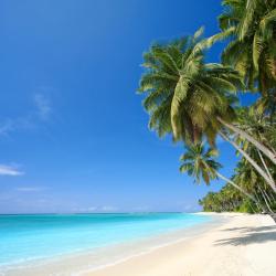 Hawaii Accommodation South Korea